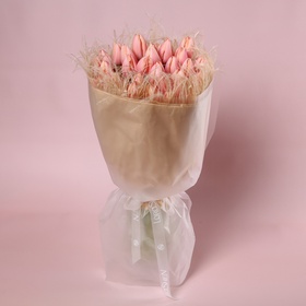 “Salmon Veil: 35 Tulips”