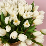 Композиция «101 белый тюльпан в жемчужном сиянии»