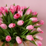 Композиция «101 розовый тюльпан Natural Romance»