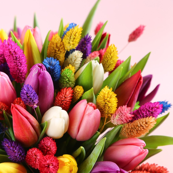 Bouquet “51 Tulips with Phalaris”