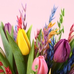 Bouquet “15 Tulips with Colored Oats”