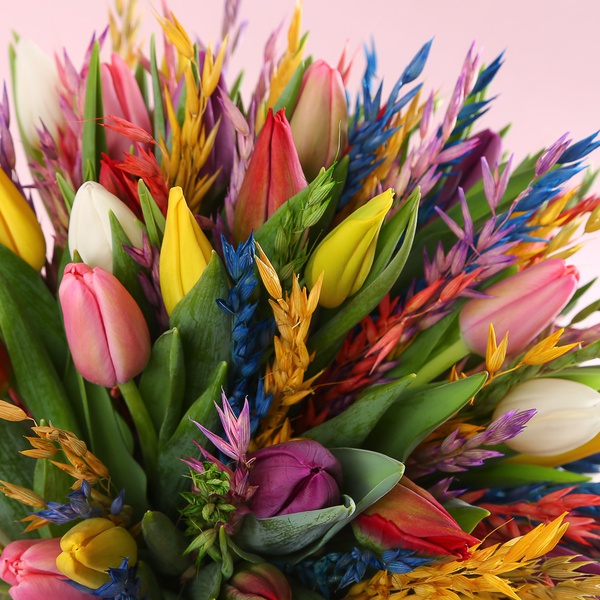 Bouquet “51 Tulips with Colored Oats”