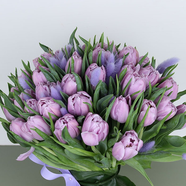 Букет из 51 нежно-фиолетовых тюльпанов и лагуруса