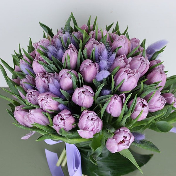 Букет з 51 ніжно-фіолетових піоновідних тюльпанів та лагурусу