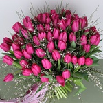 Bouquet of 75 crimson tulips and ginestra