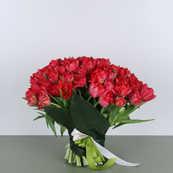 A bouquet of 51 red peony tulips