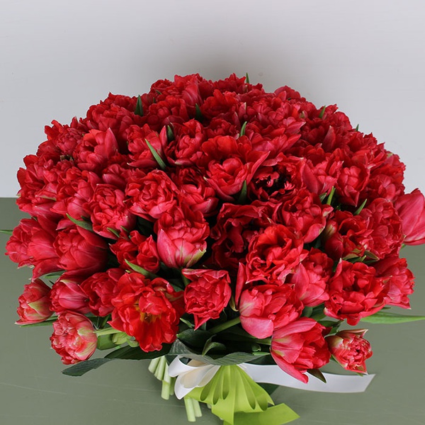 A bouquet of 51 red peony tulips