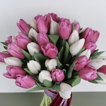 A bouquet of 51 white and pink tulips