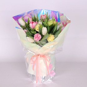 35 delicate tulips in a package