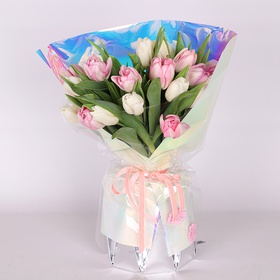 21 delicate tulips in a package