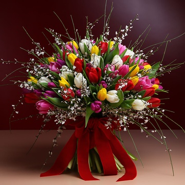 Bouquet of 101 tulips mixed with ginestra