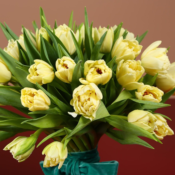 Букет из 35 пионовидных тюльпанов