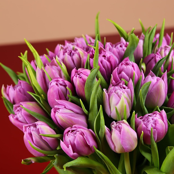 Букет з 35 фіолетових піоновідних тюльпанів