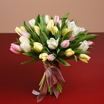 Bouquet of 35 delicate tulips