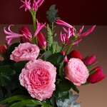 Raspberry-pink bouquet