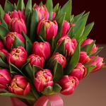 Букет з 51 рожевих піоновидних тюльпанів