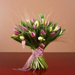 Bouquet of 51 delicate tulips and stiffs