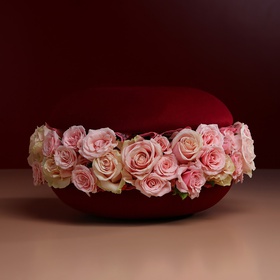 Floral composition in wine macaroon, L