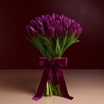 Букет з 51 фіолетових тюльпанів