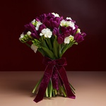 Букет з 35 фіолетових тюльпанів та фрезії