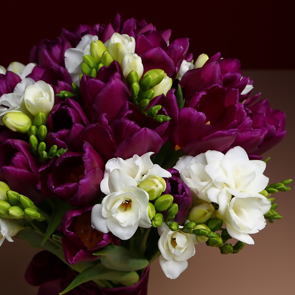 Букет из 35 фиолетовых тюльпанов и фрезии