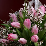 Bouquet of 15 pink tulips in coconut bark