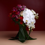 Cascading bouquet with phalaenopsis