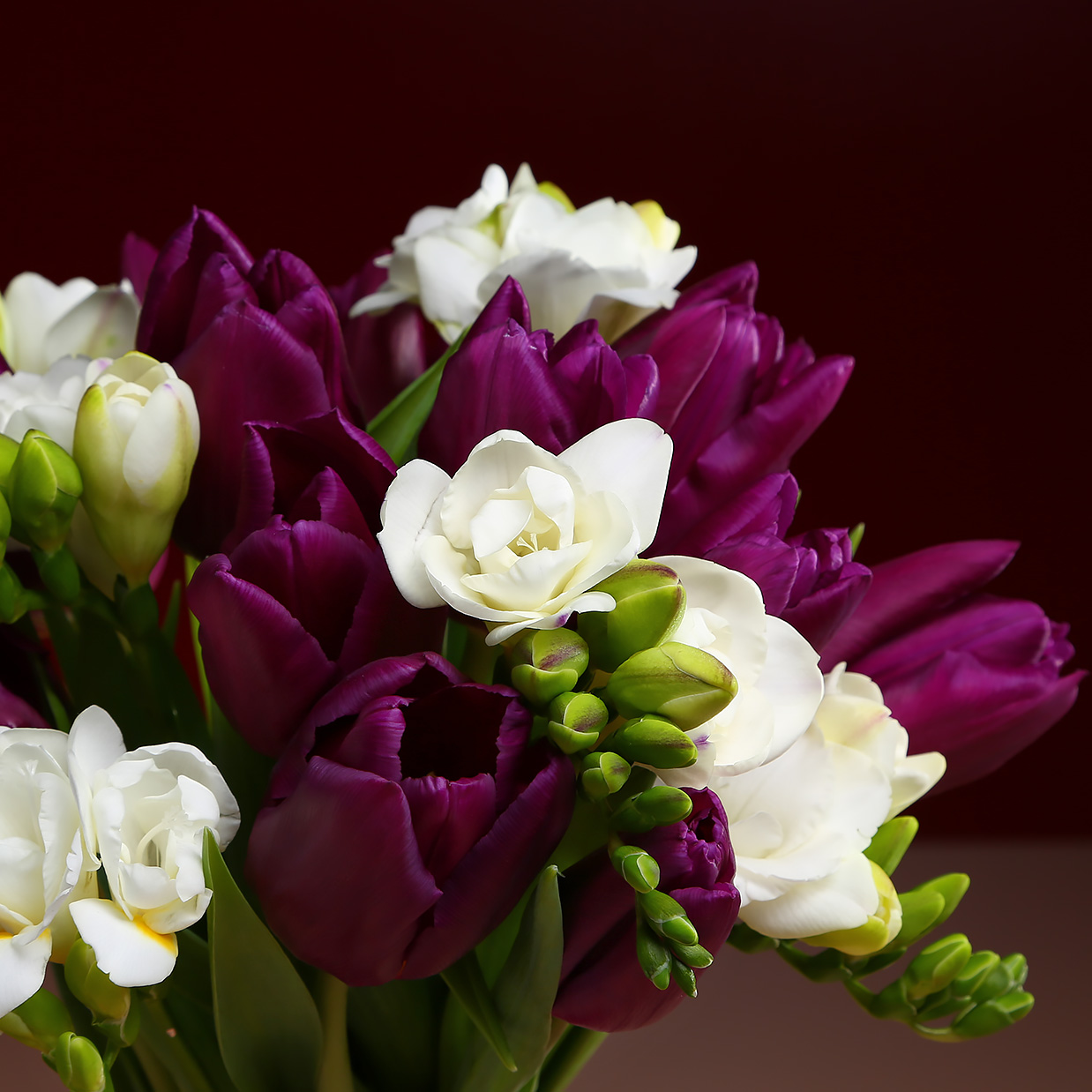 Bouquet of 15 violet tulips and freesia ᐈ Buy a bouquet of tulips with