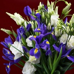 Bouquet with irises