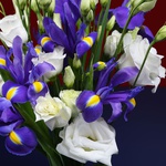 Bouquet of eustoma and irises