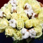 Bouquet of 51 white roses and cotton