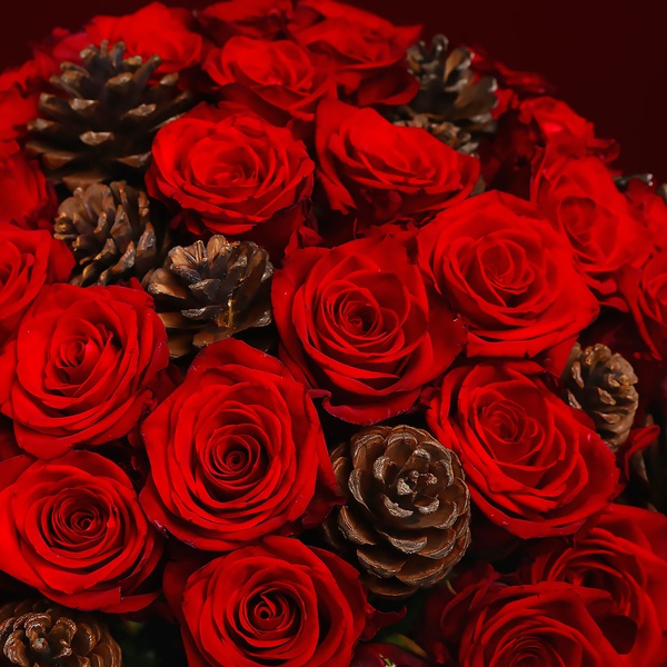Bouquet of 51 red roses and cones