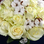 Bouquet of 25 white roses and cotton