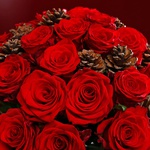 Букет из 35 красных роз и шишек