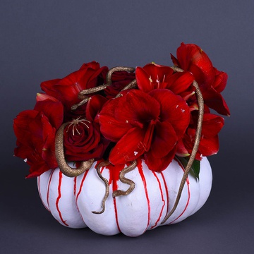 Floristic composition in pumpkin with snakes