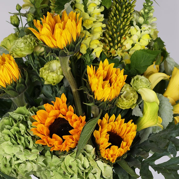 Bouquet "Sunshine"