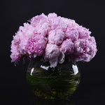 35 розовых пионов в вазе