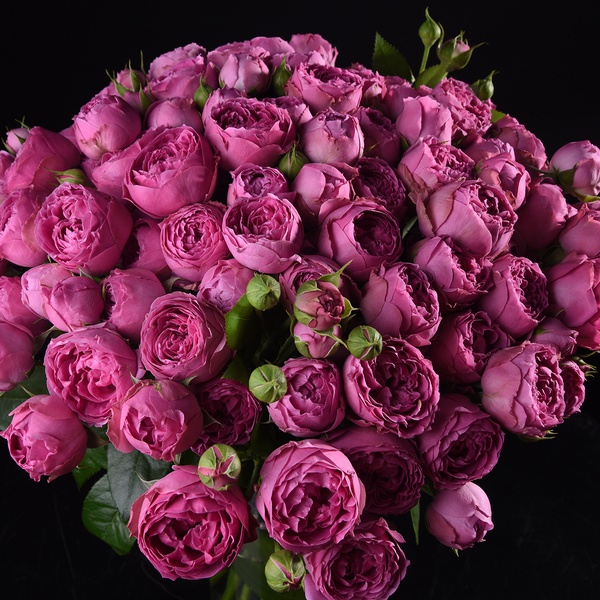 Bouquet of 25 pink roses Misty Bubbles