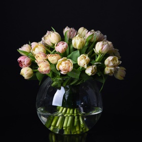 35 пионовидых тюльпанов в вазе