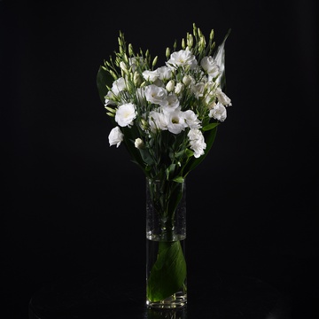 Bouquet of 11 white eustomas