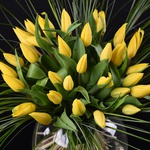 35 yellow tulips in a vase