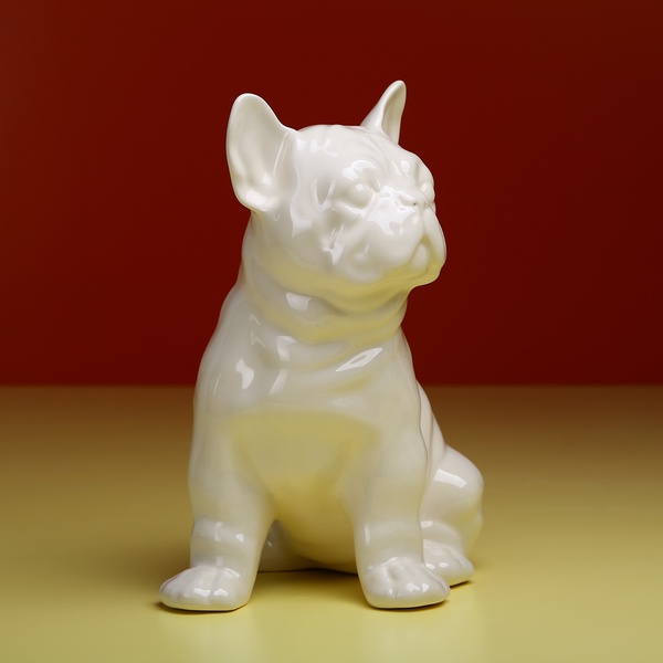 French Bulldog sitting, white
