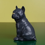 French Bulldog sits, black