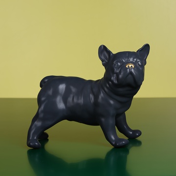 French black Bulldog, stands