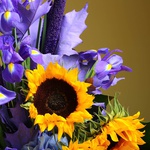 Men's bouquet with irises and sunflowers