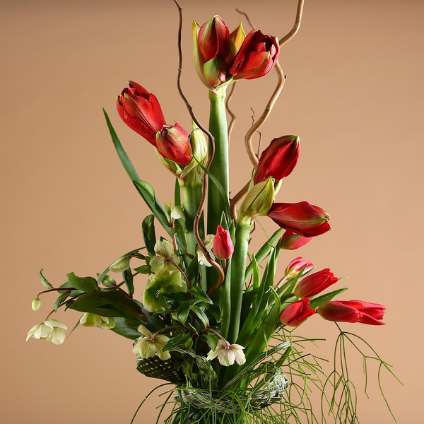 Man's bouquet with red amaryllis