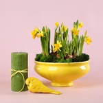 Composition “Golden Spring”