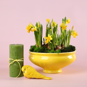 Composition “Golden Spring”