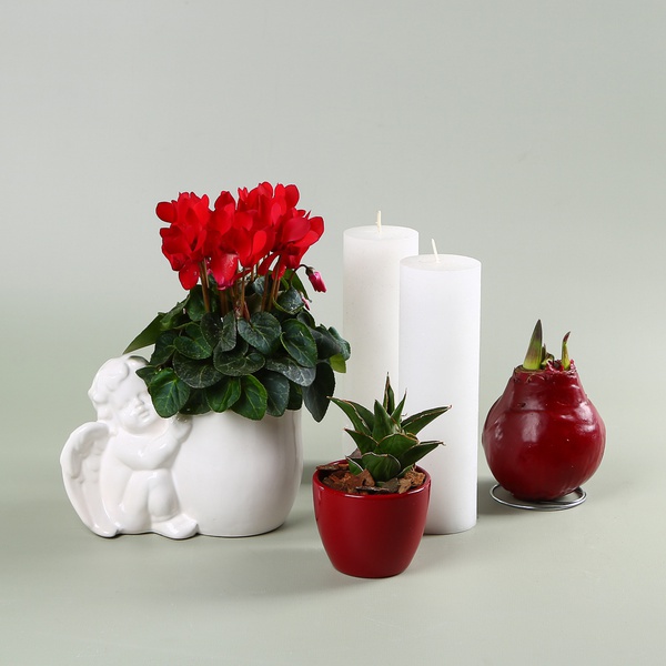 Set with “Cupid” Planter