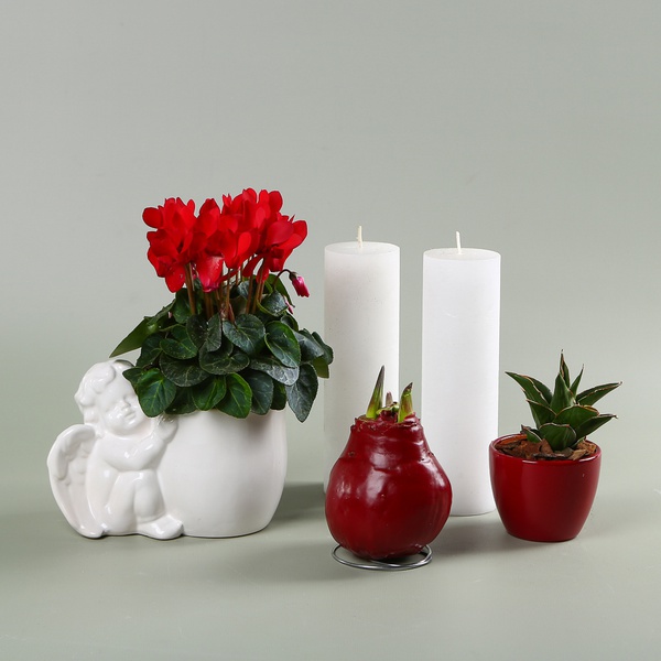 Set with “Cupid” Planter